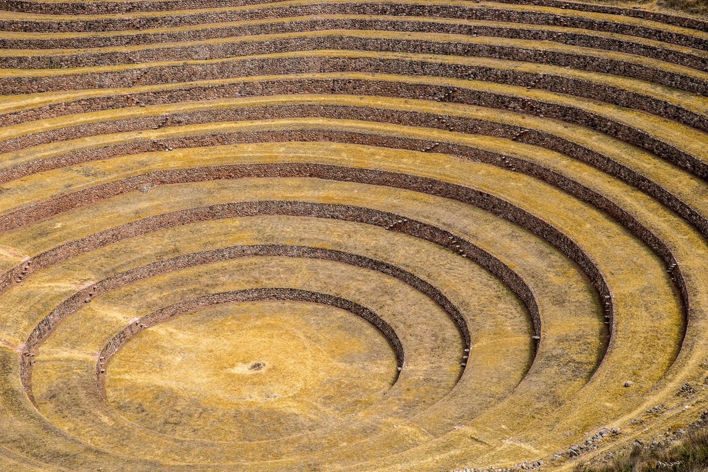 Maras Moray 2