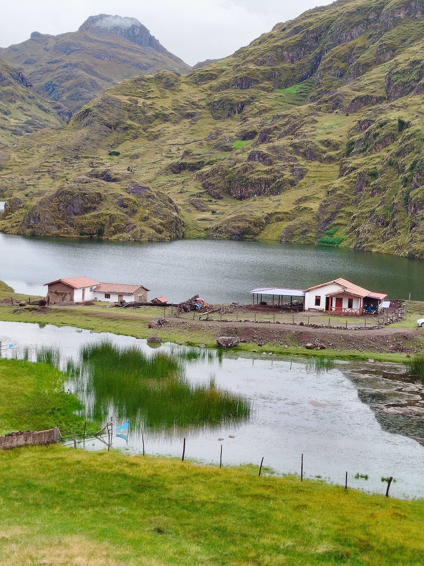 Vista 11