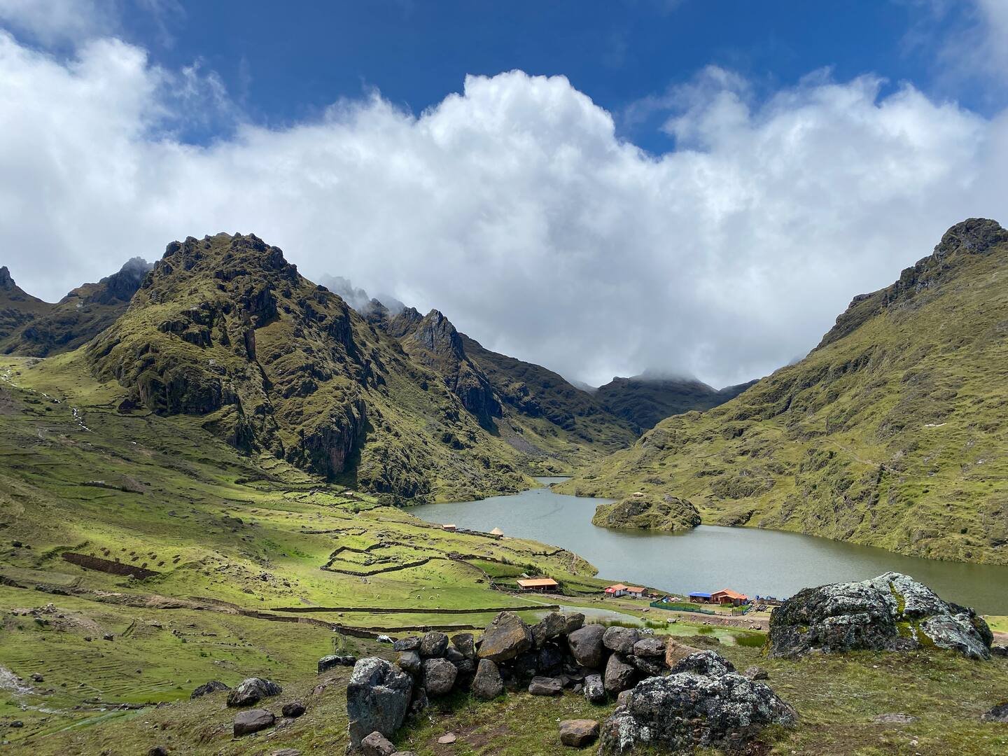 Vista 14