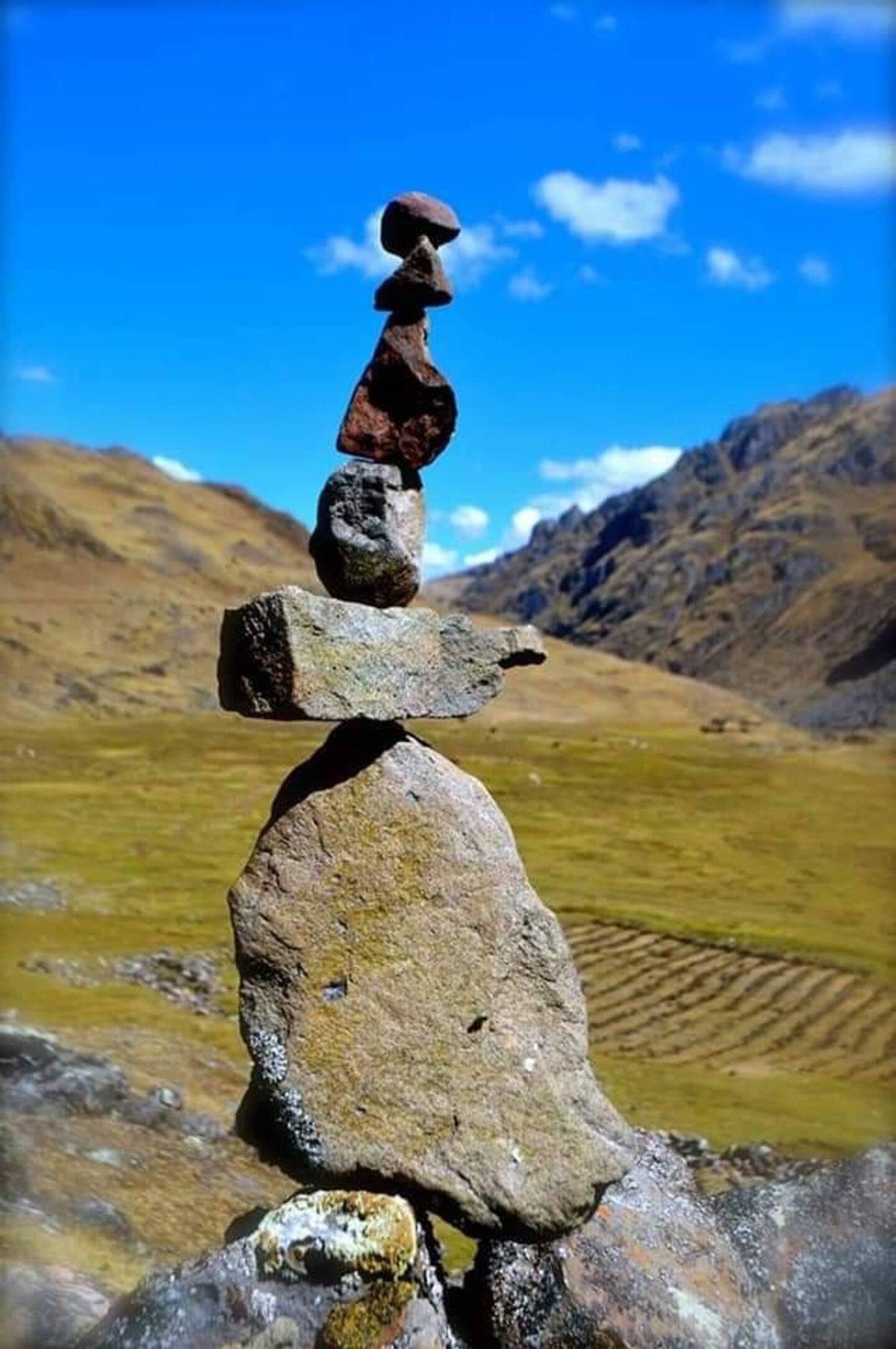 Vista 4